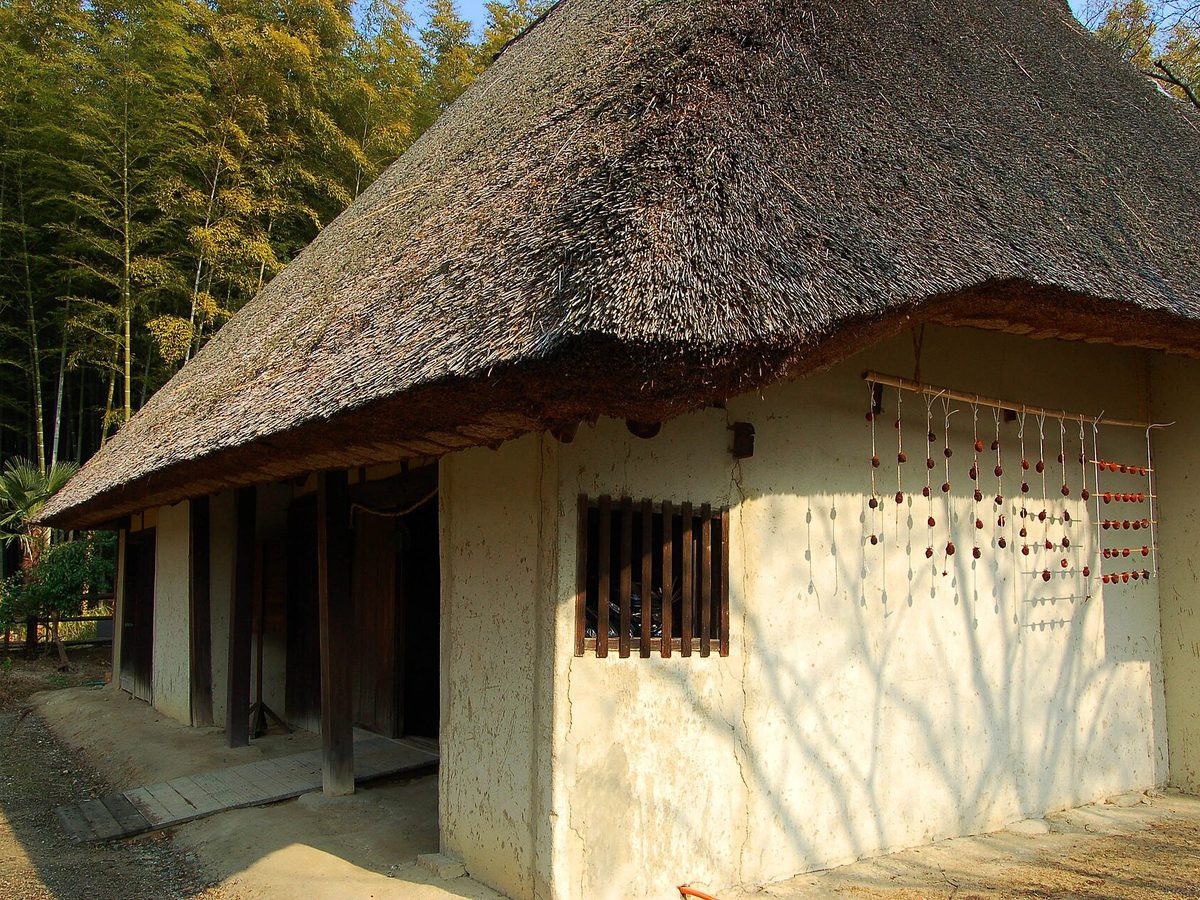 茅葺き土壁の古民家と竹林 / Thatched earthen-walled house and bamboo